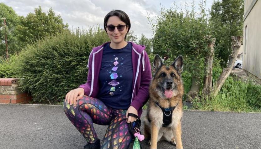 german shepherd as a family dog
