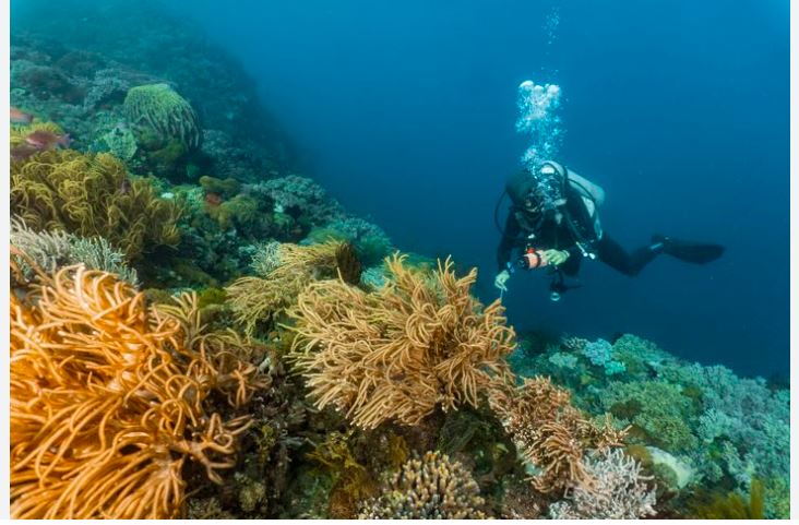 a day in the life of a marine biologist