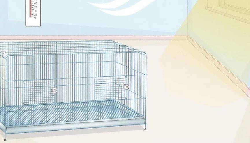how big of a cage do budgies need