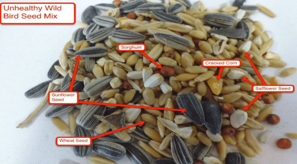 what type of seeds do budgies eat