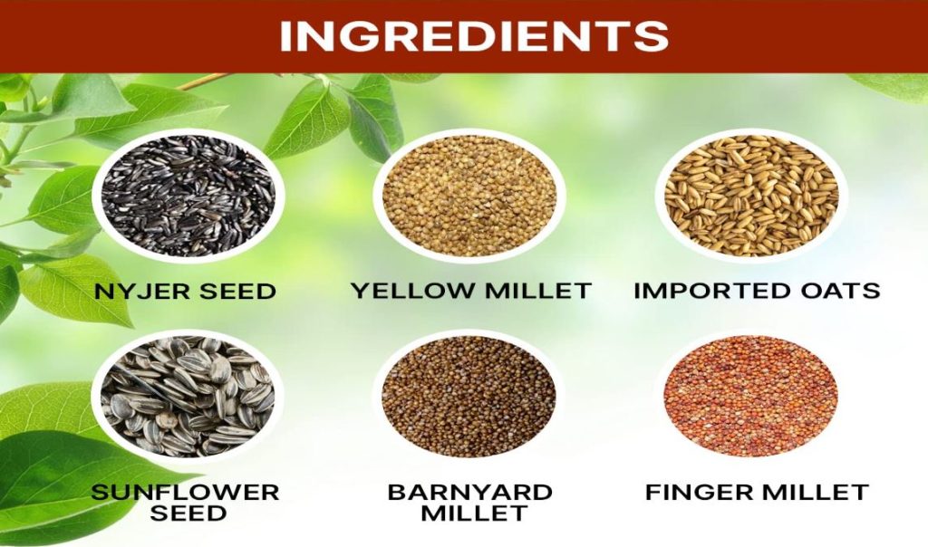 what type of seeds do budgies eat