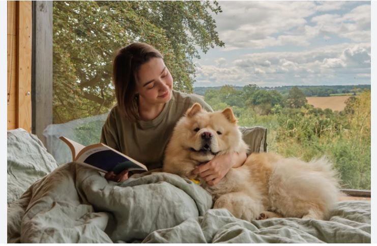 Dog Companionship and Its Benefits to Humans