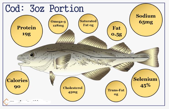 Cod Fish Health Benefits