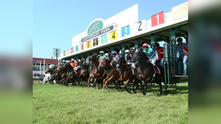 Early Start Racing When Do Horses Start Racing: Key Ages & Expert Insights Revealed ...